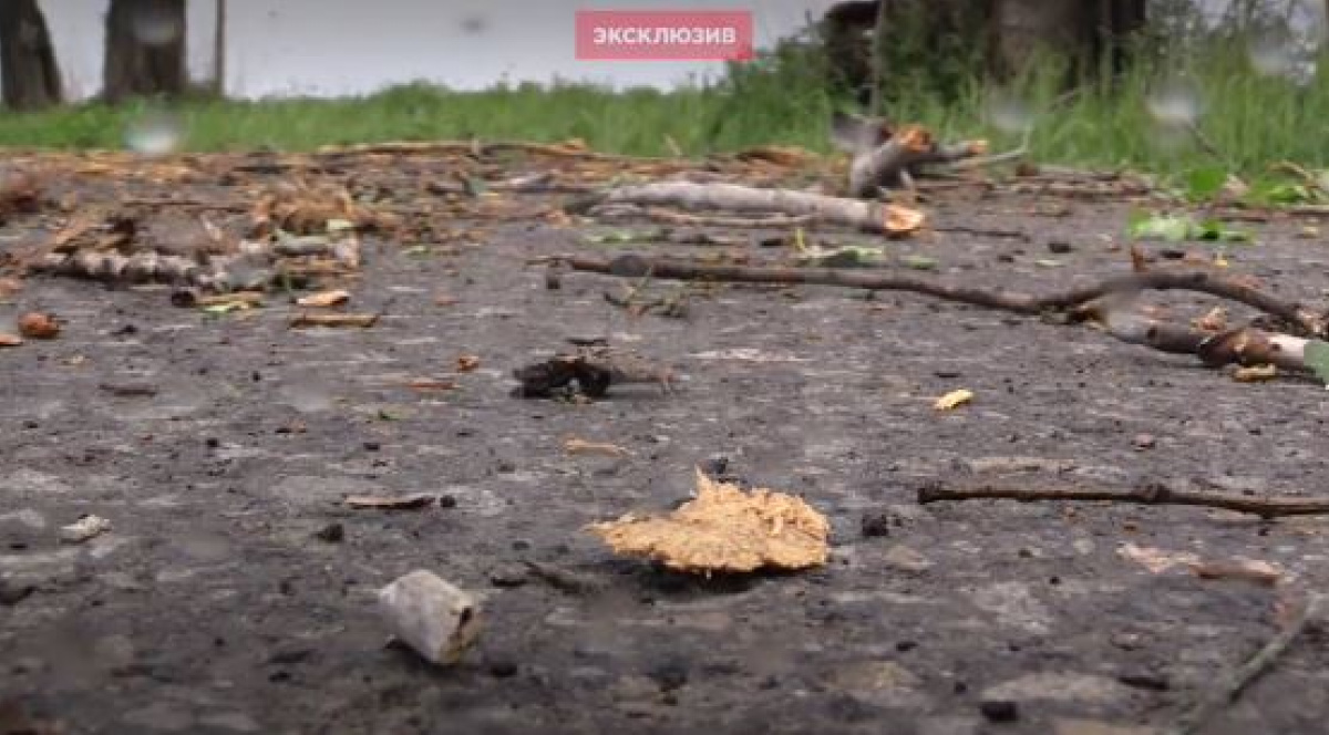 Появилось видео с места взрыва на дороге, которой ехал Захарченко 