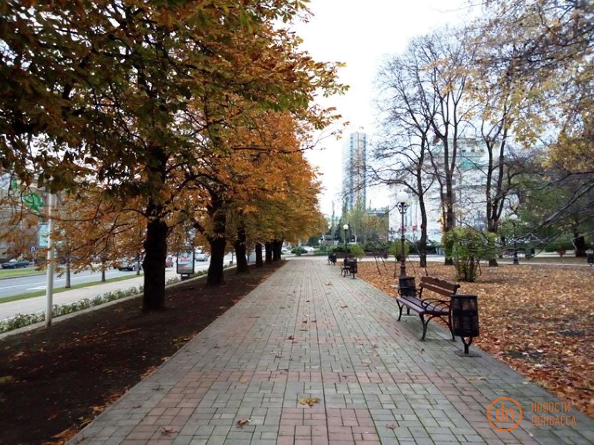 Сквер возле библиотеки Крупской. 26 октября 2017 года.

