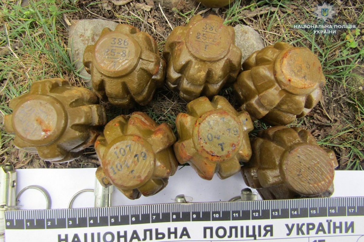В Луганской области возле железной дороги найдено более 10 гранат и тротил