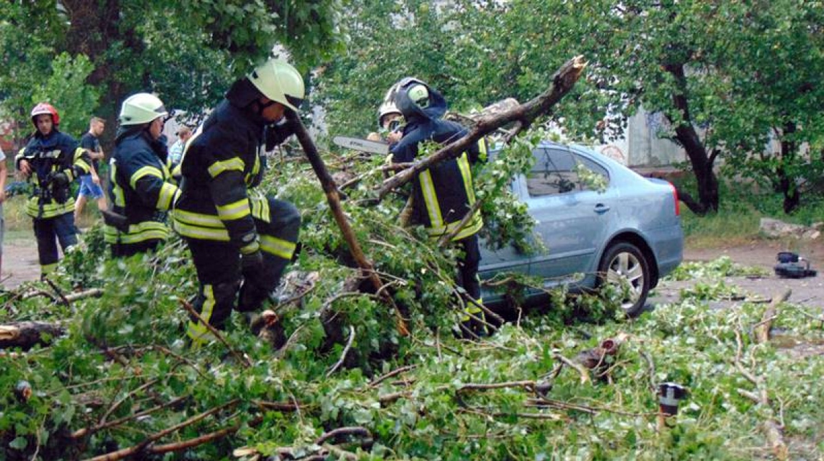 Непогода в Луганской области: 4500 абонентов без электричества, более сотни деревьев повалено