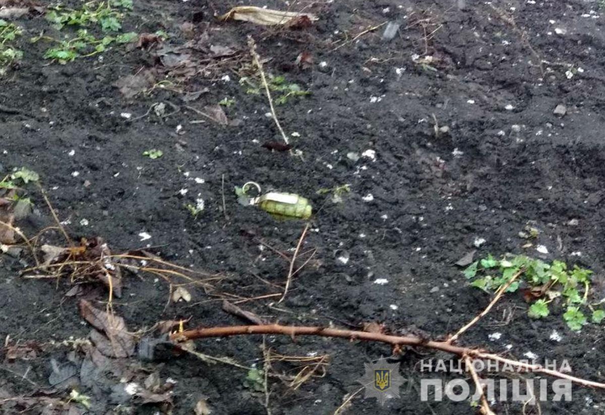 В Селидово неизвестный забросил гранаты в частный двор