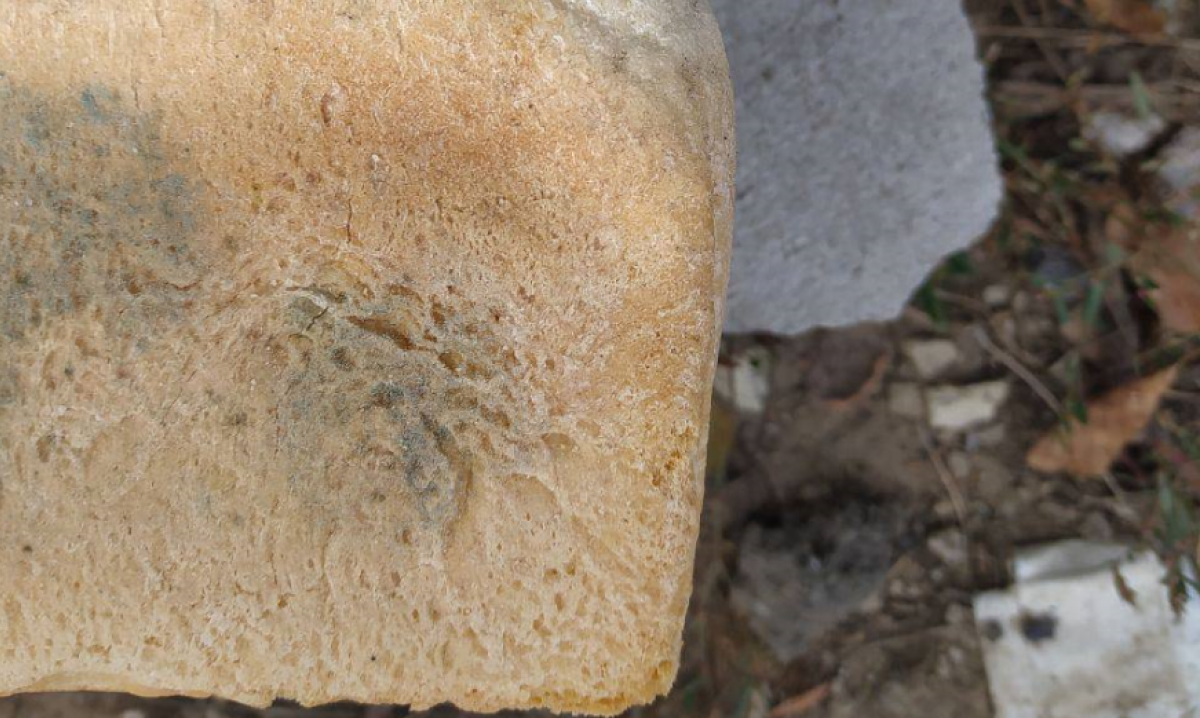 Российские оккупанты раздают мариупольцам заплесневелый хлеб — горсовет