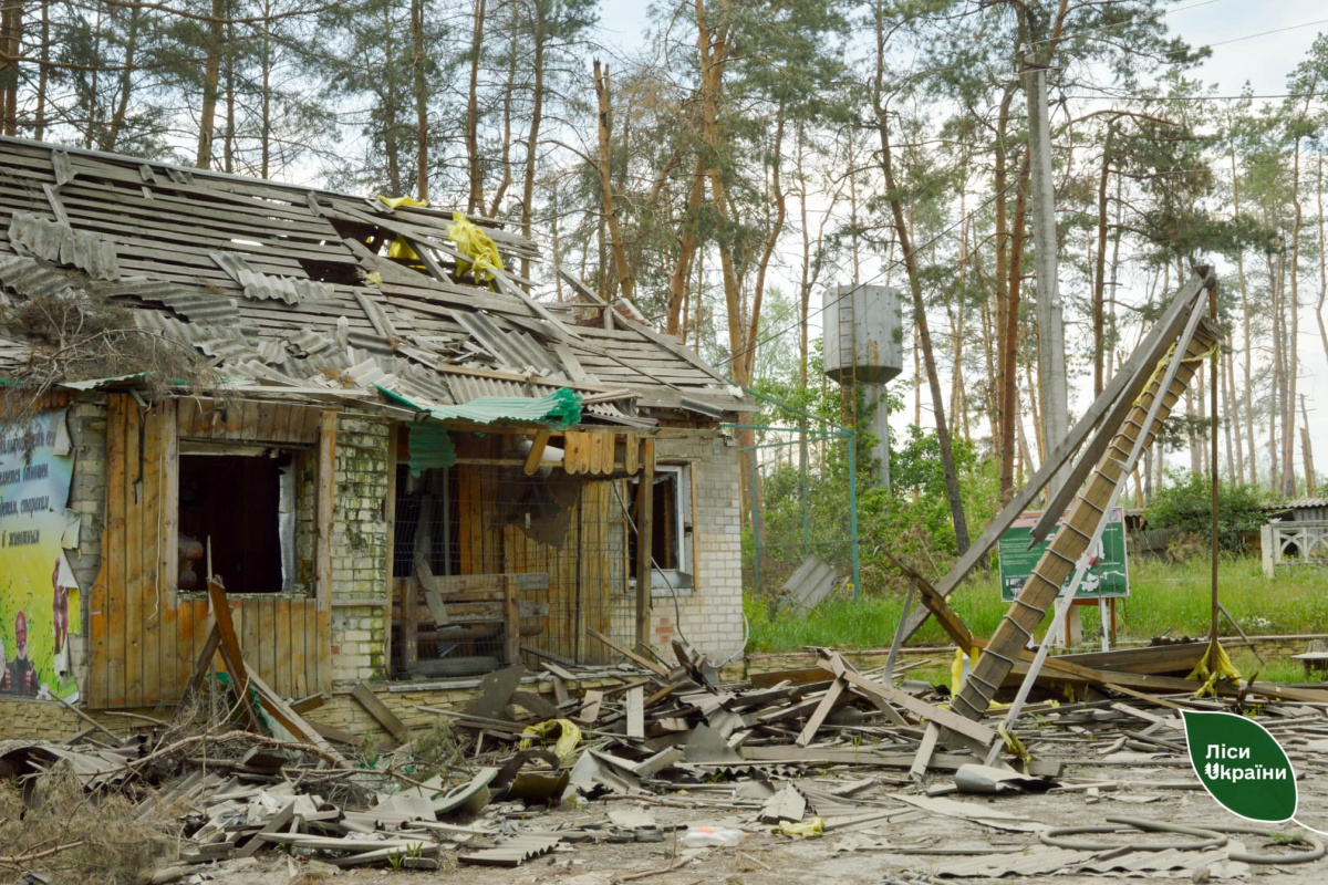 Ямпільське лісництво. Фото: «Ліси України»