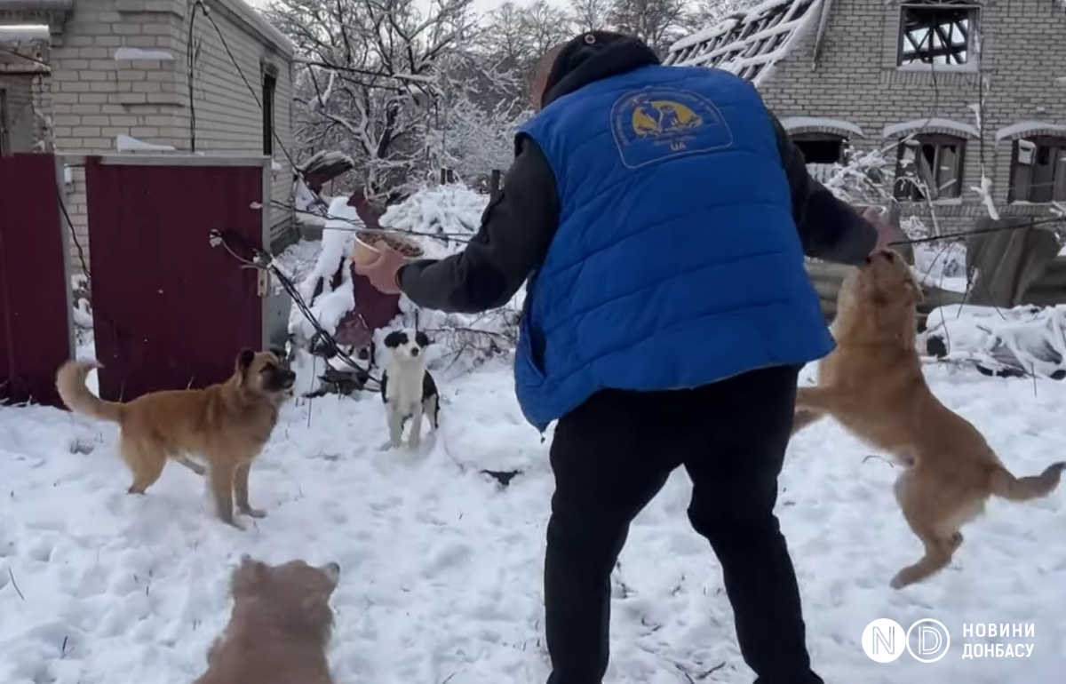 Собаки раді волонтерам завжди. Фото: «Новини Донбасу»