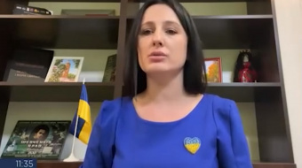 Ірина Борзова, народна депутатка ВРУ. Фото: кадр із відео
