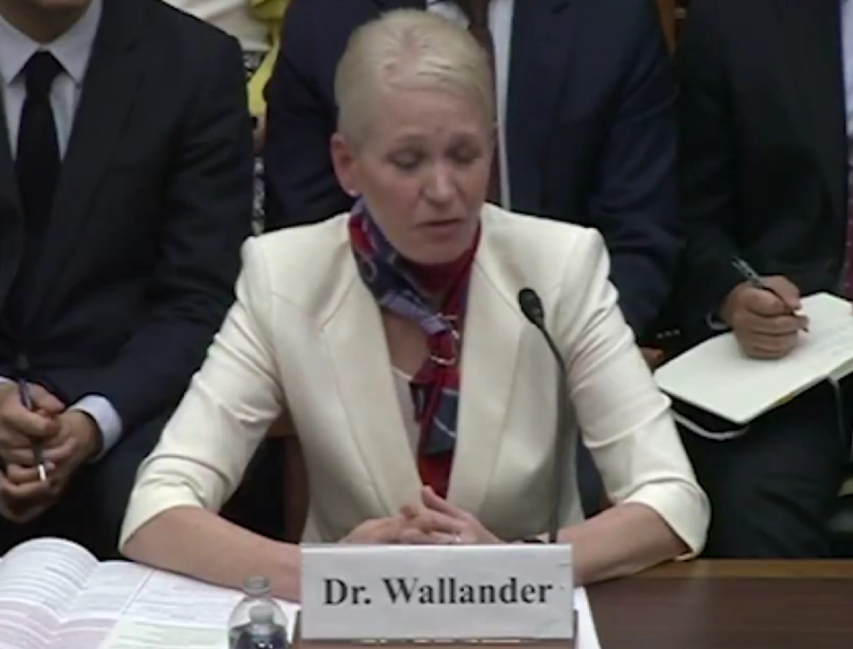 Помощница министра обороны США д-р Селести Волландер обеспокоена ударами по НПЗ РФ