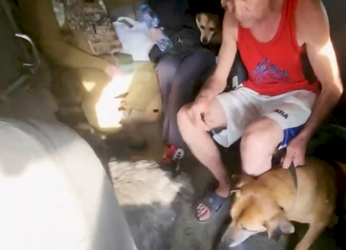 Евакуація людей та тварин з Красногорівки. Фото: кадр із відео