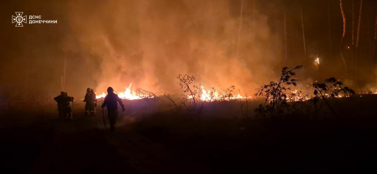 Лісова пожежа під Лиманом. Фото: ДСНС