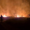 Лісова пожежа під Лиманом. Фото: ДСНС