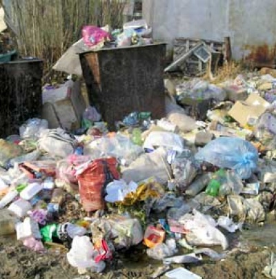 В пятницу в Донецке будут выделять 10 га под строительство мусоросжигательного завода