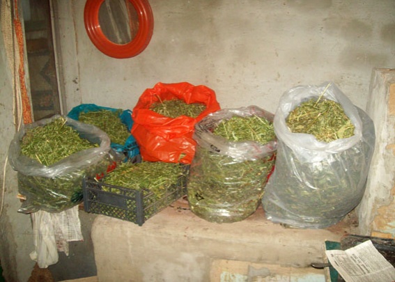 В Снежном у местного жителя  нашли килограмм наркотиков