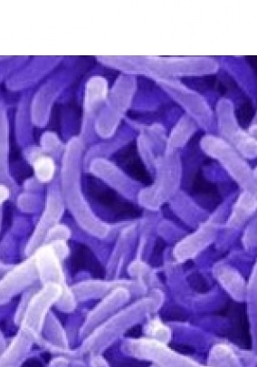 В Мариуполе выявили 2 — х заболевших холерой