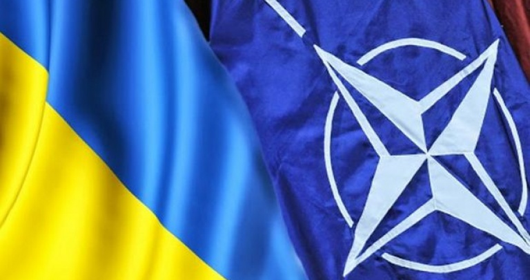 Украина в НАТО: тернистый путь через Донбасс
