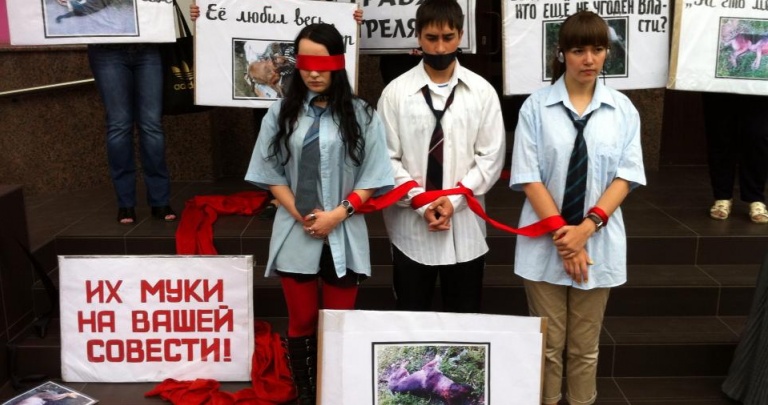 В Донецке милицию обвинили в пособничестве убийству животных