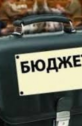 Донецкая область утвердила бюджет на 2014 год