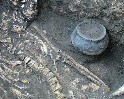В Донецке черные археологи разворовали древний курган