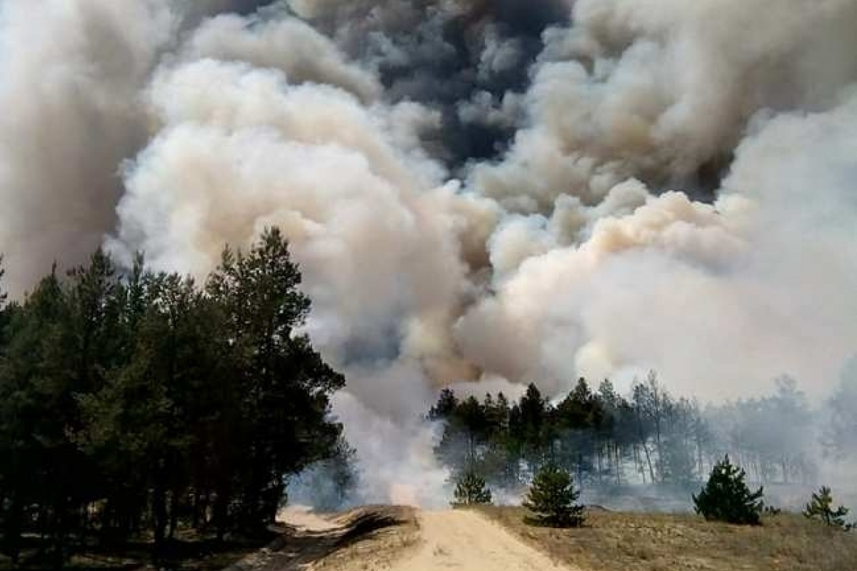 Пожар в Раденском лесничестве в конце мая 2018 года.