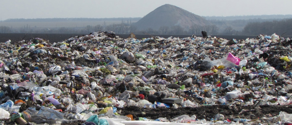 Жить без мусора: как в Донецкой области внедряется экологическая программа