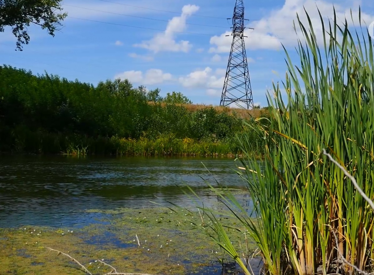 Вода под огнем: Как обезопасить водоснабжение Донбасса. Большой видеорепортаж