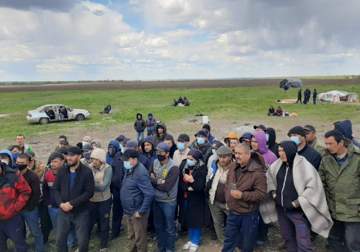 Дорога домой: застрявшие за границей граждане разных стран сражаются за возвращение на родину