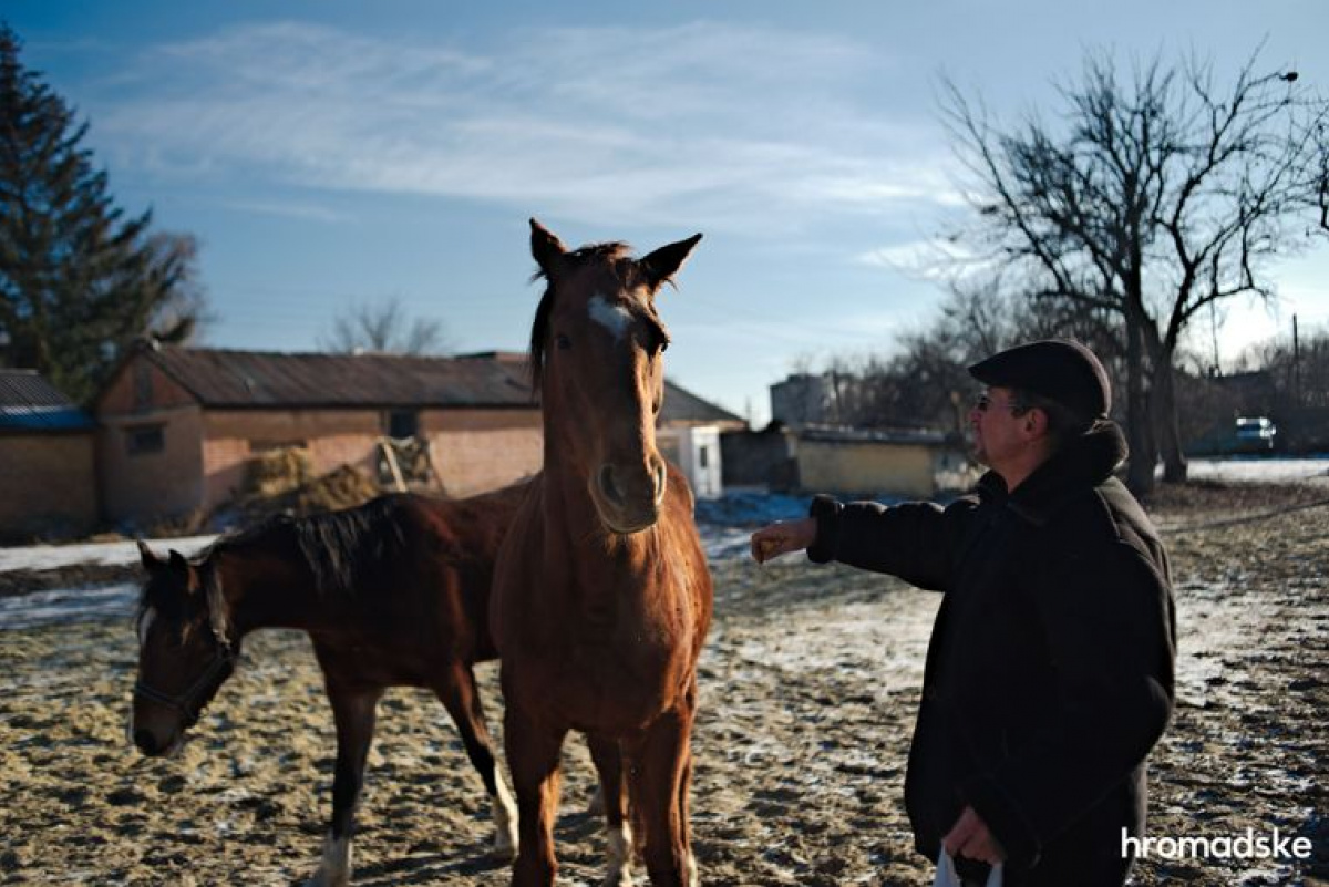 Луганская область — важное место для украинского коневодства. Как выживает отрасль?