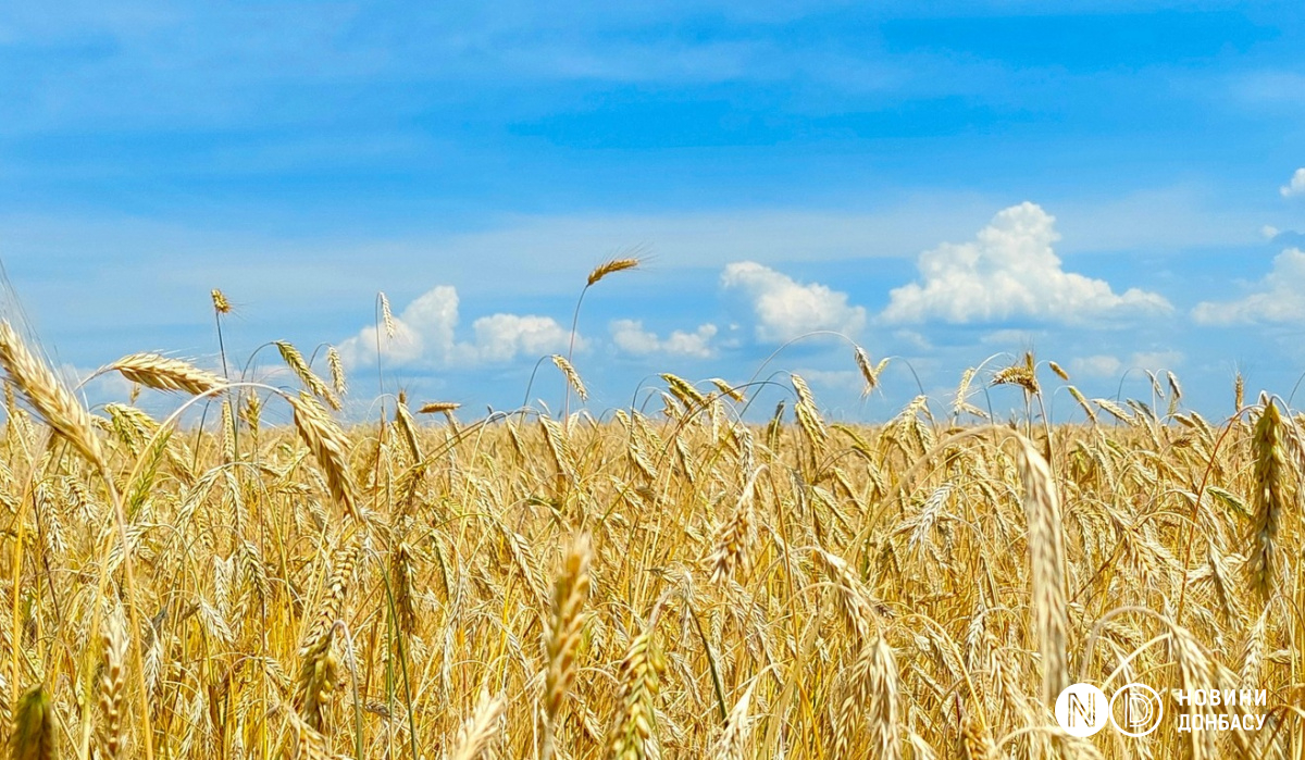 Що буде з українською агропродукцією після зриву «зернової угоди». Фото: Новини Донбасу