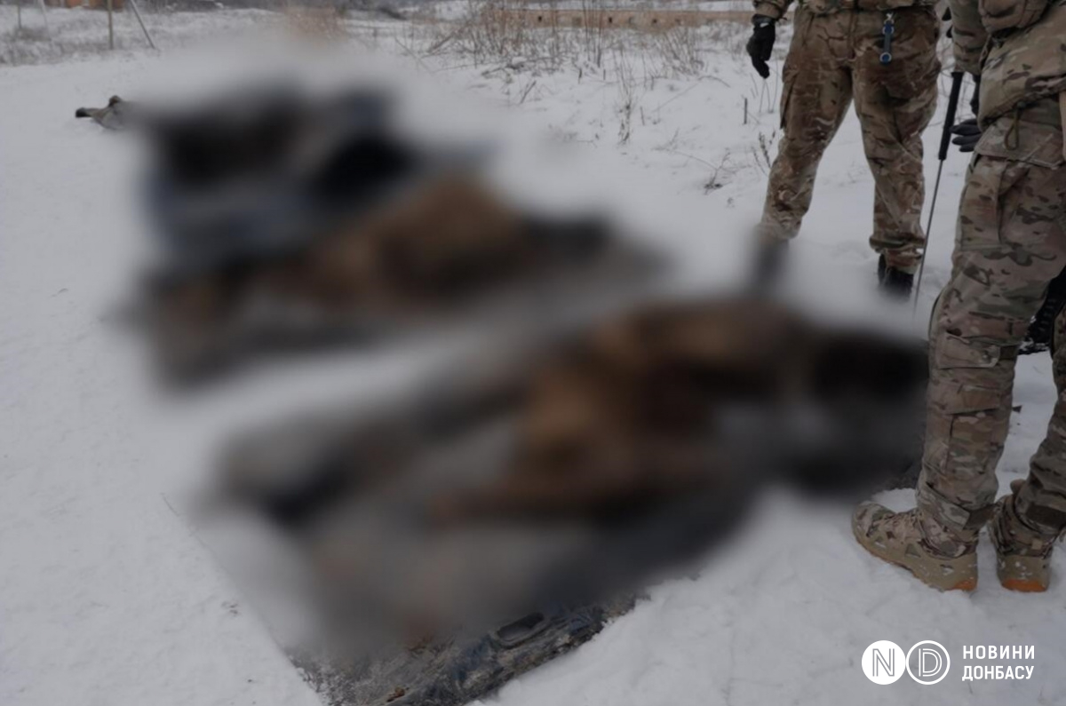 Найденные тела российских военных под Бахмутом. Фото: Новости Донбасса