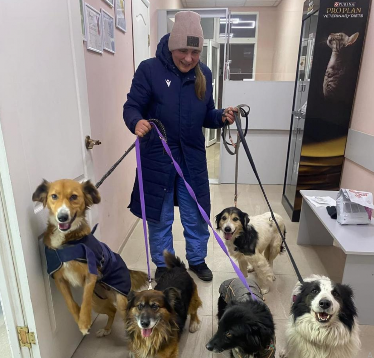 Елена, зооволонтерка из Краматорска со своими подопечными. Фото из личного архива