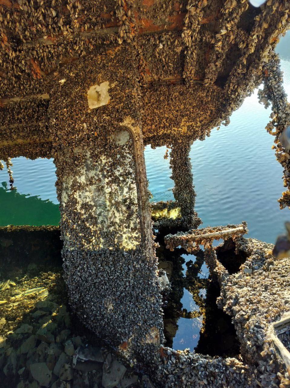 Монахівський кар'єр у Донецькій області пересихає