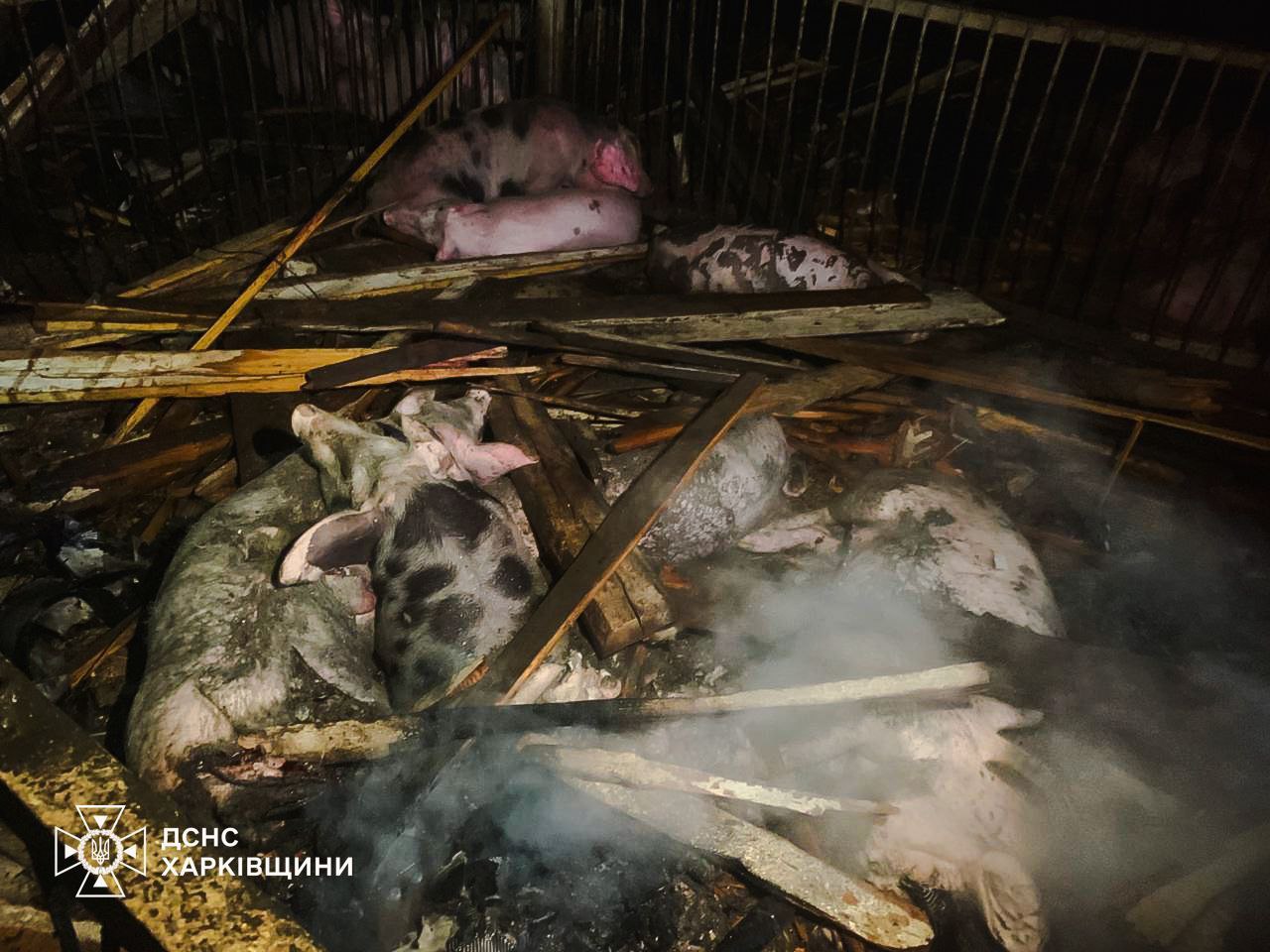 На агрофермі російський безпілотник убив десятки тварин. Фото: ДСНС Харківщини