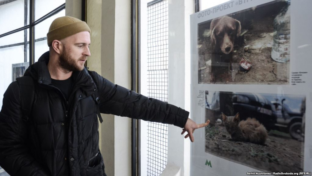 В Киеве открыли выставку о брошенных в зоне АТО животных