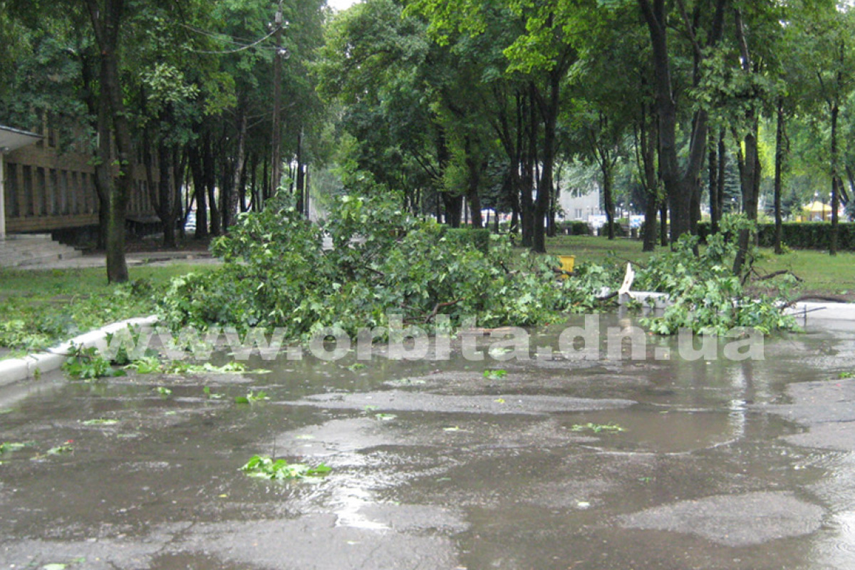 Непогода в Покровске: поломанные деревья, порванные линии электропередач