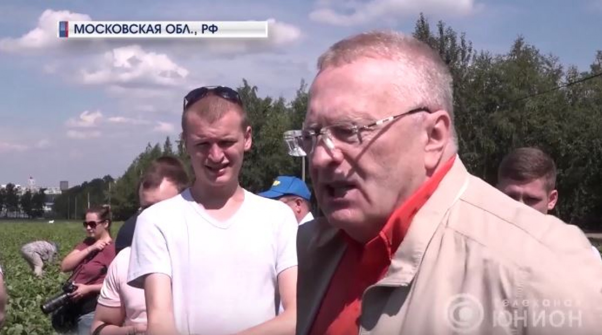 Жириновский призвал включить Донбасс в состав России