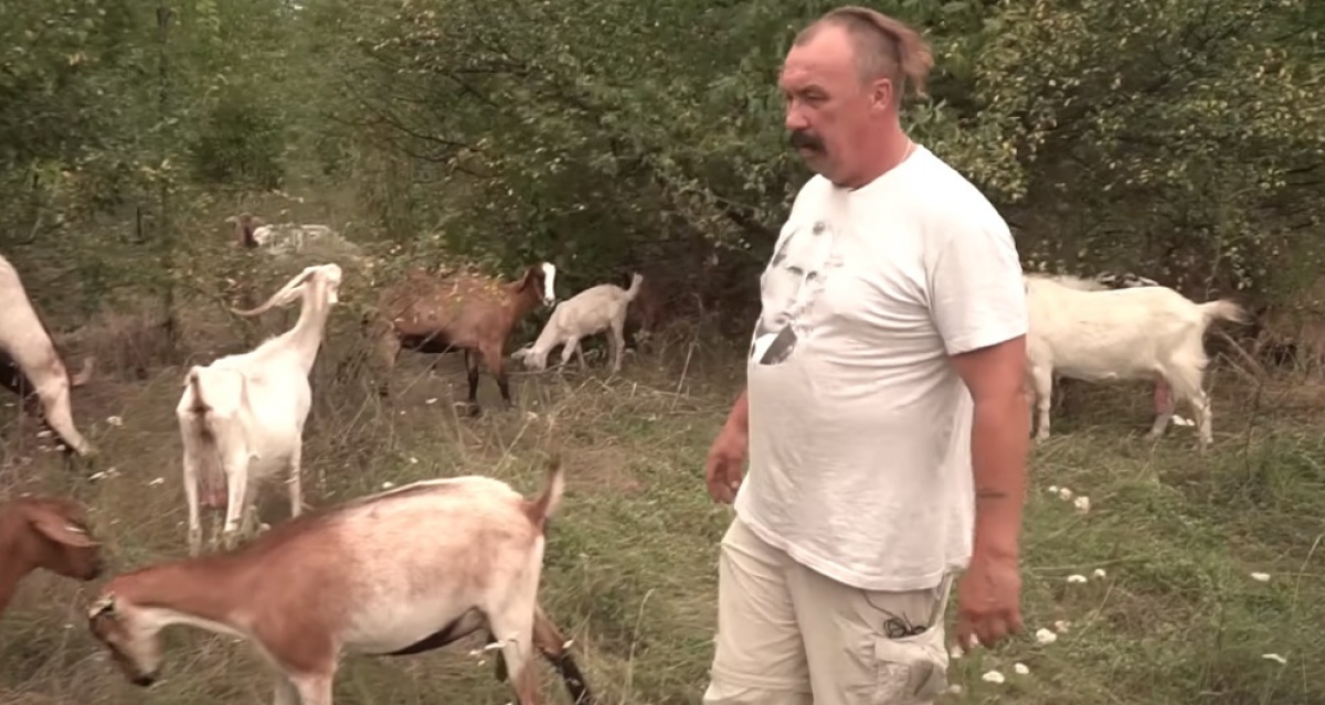 Фермерство на Донбассе: какие есть программы поддержки