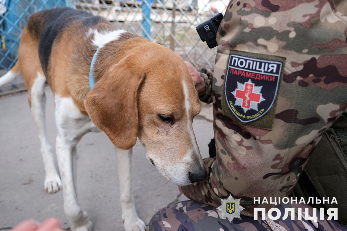 Собака из Красногоровки. Фото: полиции