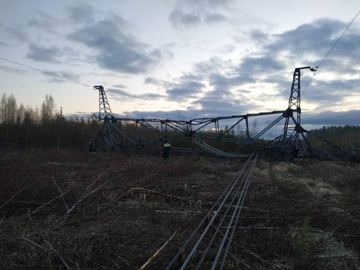 В Ленинградской области подорвали опору ЛЭП - 01 мая 2023 :: Новости  Донбасса