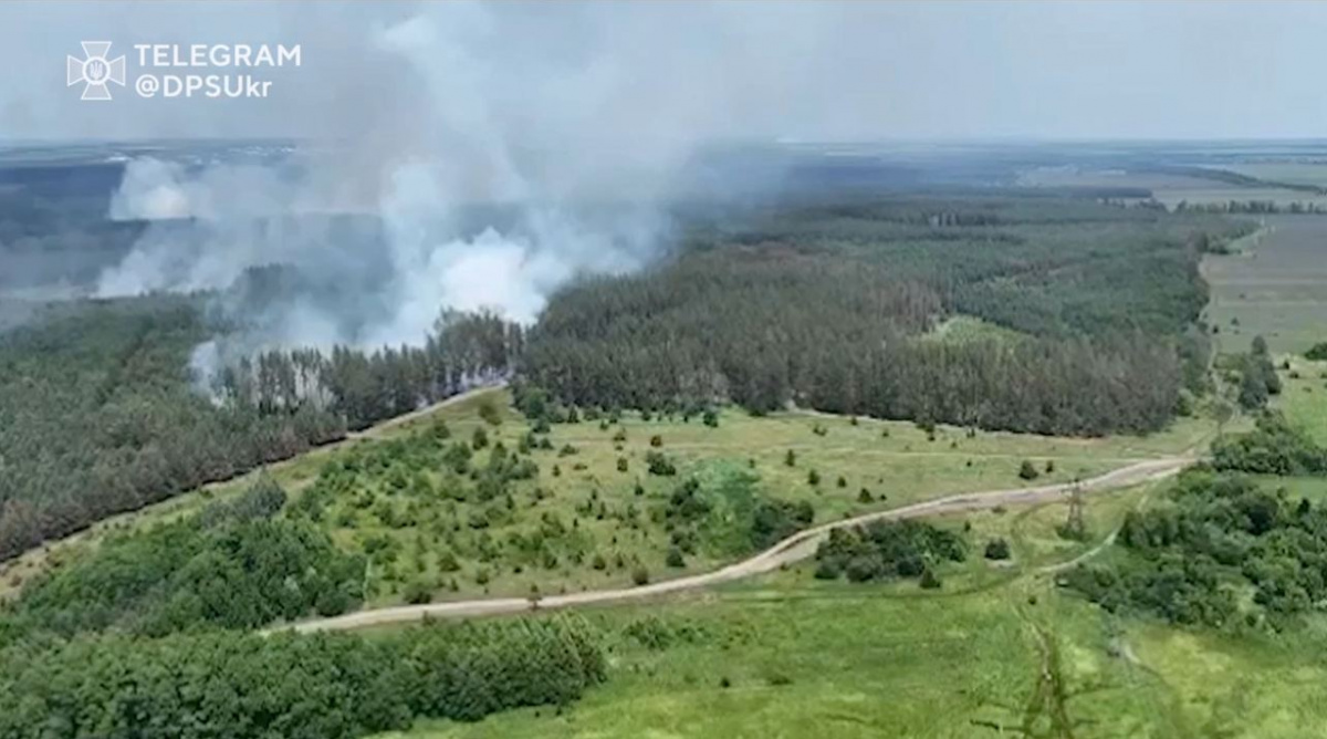 Прикордонники показали, як дронами знищують війська РФ у лісах Сватівського напрямку. Скрин з відео ДПСУ