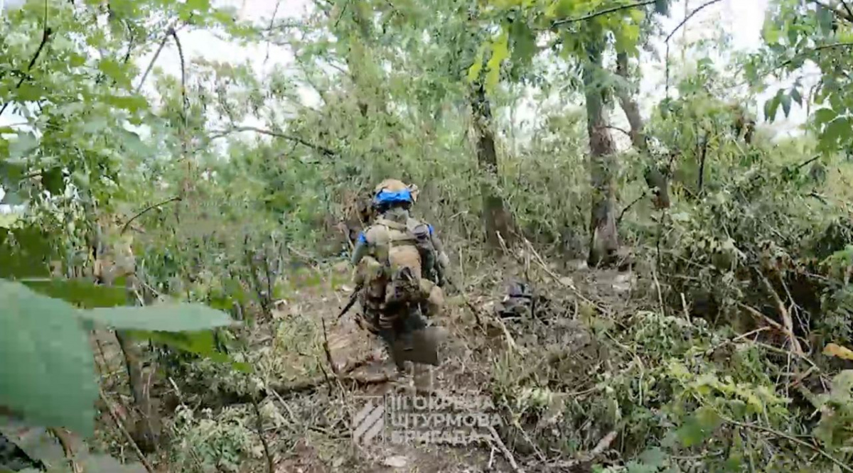 Третья штурмовая бригада ВСУ показала еще одно видео боев в лесополосе  вблизи Бахмута - 05 июля 2023 :: Новости Донбасса