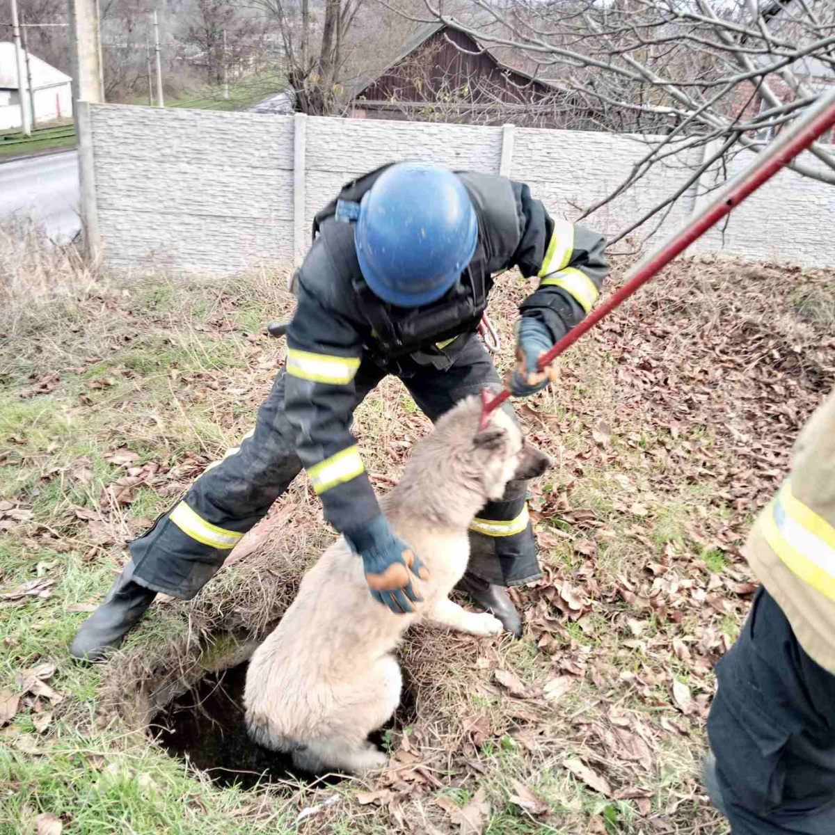 На Донеччині врятували собаку. Фото: ДСНС