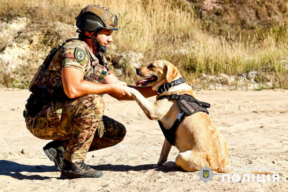 Поліцейські собаки Донецької області допомагають виявляти вибухівку та наркотики. Фото: ГУ Нацполіції у Донецькій області