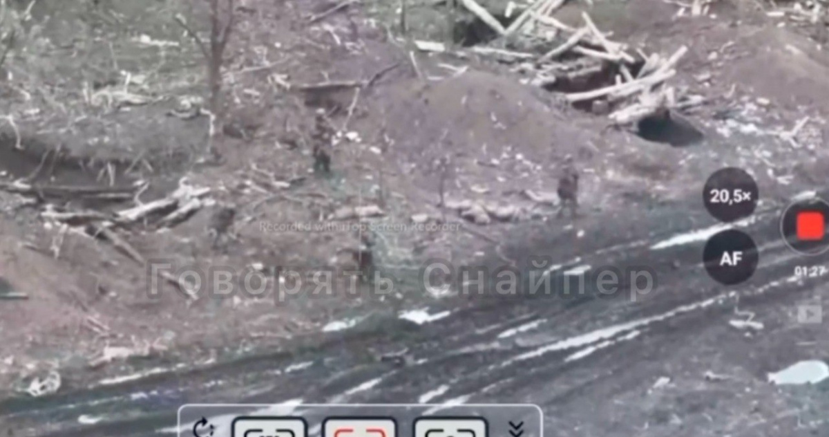 Російські військові розстріляли полонених бійців ЗСУ. Скріншот відео