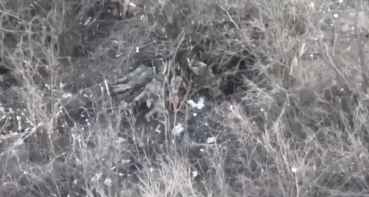 Зафиксирован очередной случай расстрела россиянами безоружных украинских военнопленных. Скриншот видео