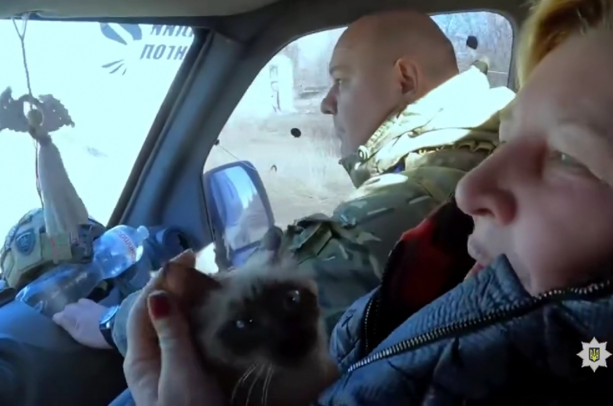 Евакуація із Красногорівки. Фото: кадр із відео