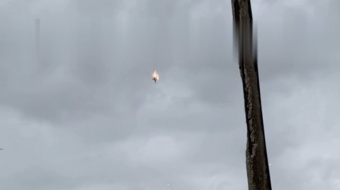 Момент падения самолета над Севастополем. Кадр из видео