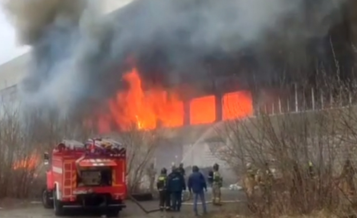 Пожар на складе автозапчастей в Новосибирске. Фото: кадр из видео
