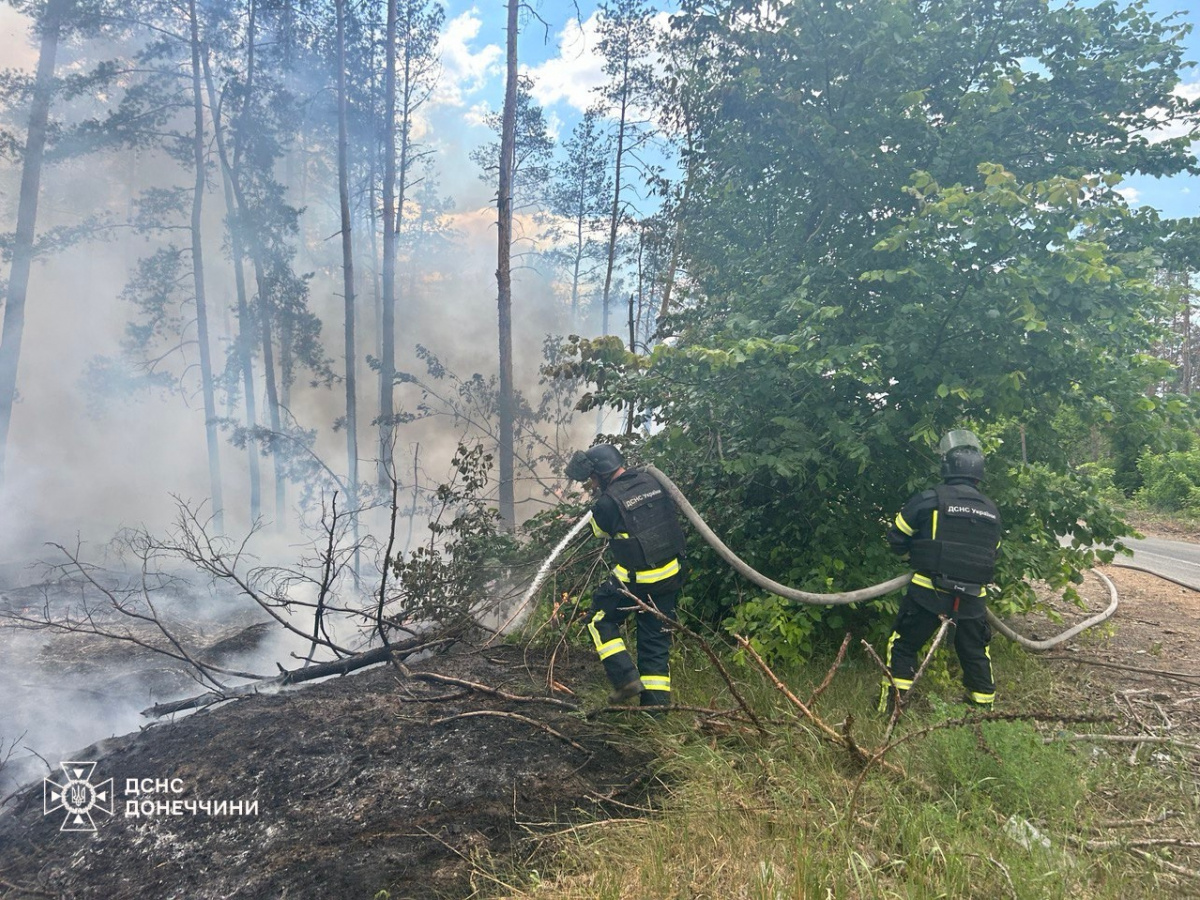 Масштабна лісова пожежа поблизу Лимана. Фото: Державна служба з надзвичайних ситуацій у Донецькій області