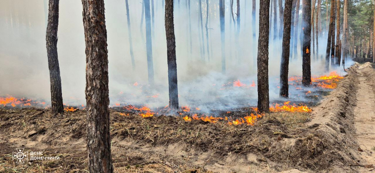 Масштабный лесной пожар на Лиманщине. Фото: ГСЧС в Донецкой области