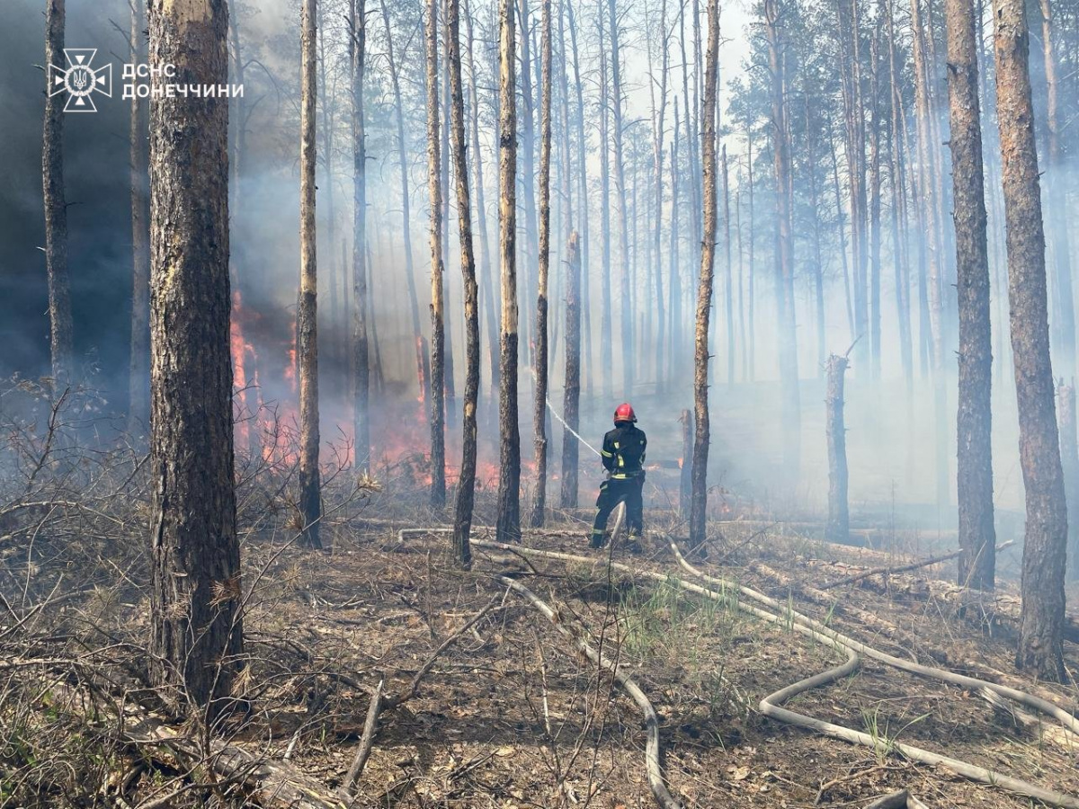 Масштабна пожежа у Національному природному парку «Святі гори». Фото: ДСНС у Донецькій області