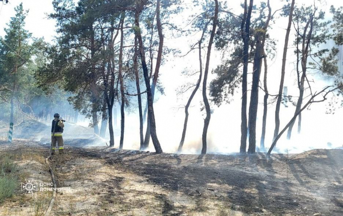 Пожежа у лісі після російського обстрілу Донецької області 28 липня. Фото: ДСНС 