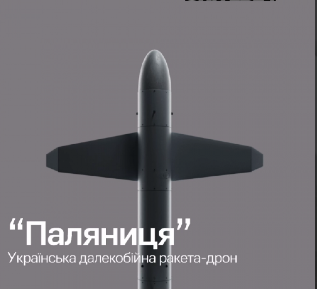 Разработку украинской дальнобойной ракеты-дрон Паляниця завершили за 1,5 год. Фото: скриншот 